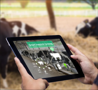 Cloud-Disruption-(Smart-Agro-Ganadería-de-Precisión)-02